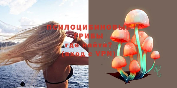 дмт Армянск