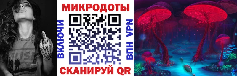 Купить Нижняя Тура Галлюциногенные грибы Cubensis